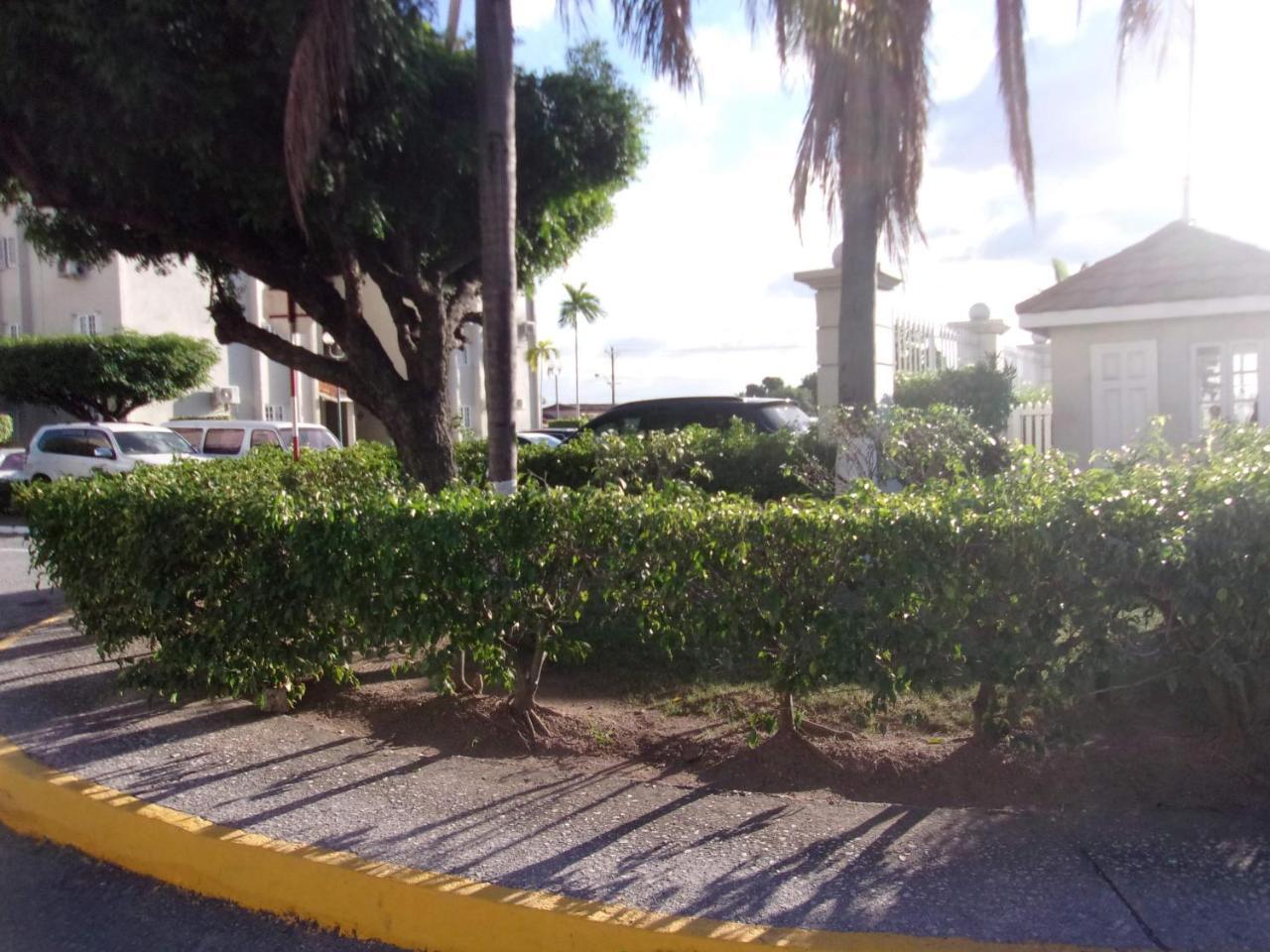 Central Oaklands Kingston Apt Esterno foto