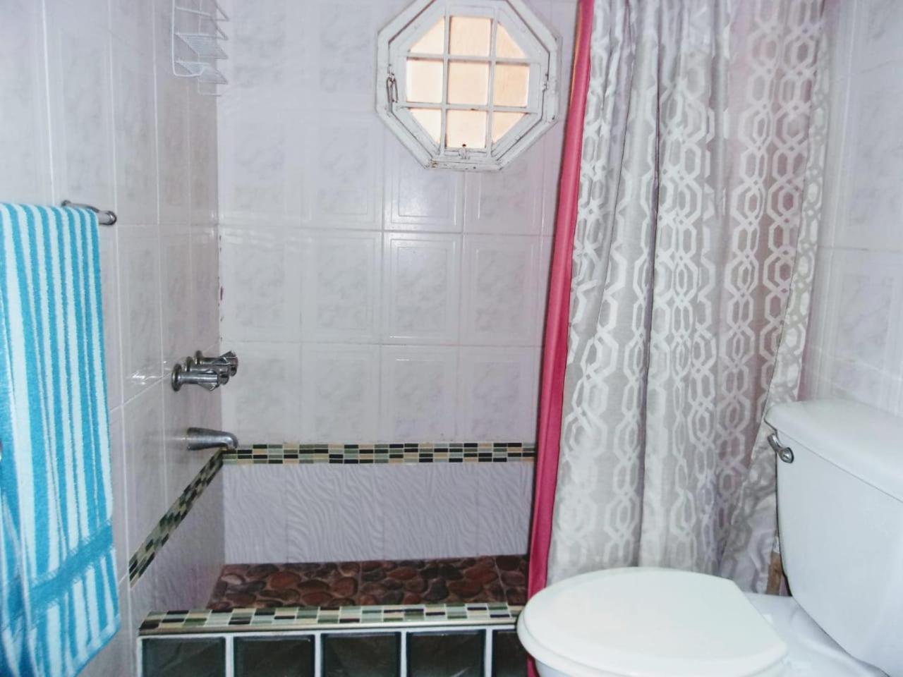 Central Oaklands Kingston Apt Esterno foto